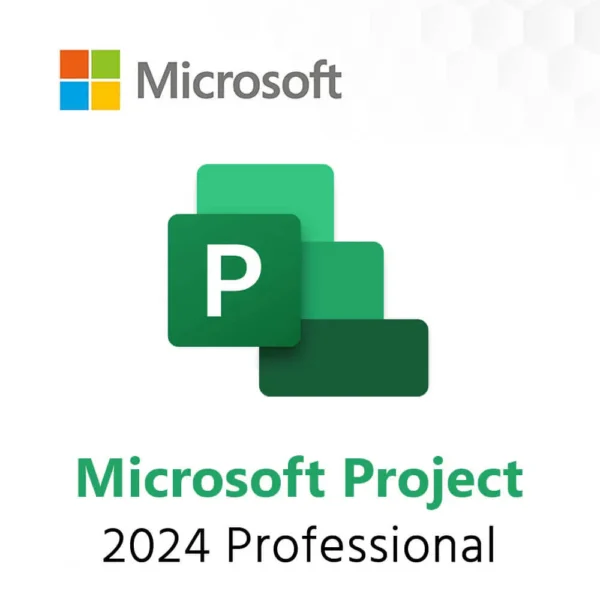 Microsoft Project 2024 Professional