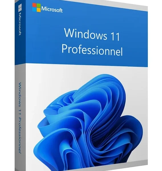MICROSOFT WINDOWS 11 PROFESSIONAL